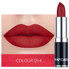 HANDAIYAN 12 Colors Velvet Matte Lipstick Waterproof Pigment Lipstick Long Lasting Lipstick Never Fade Lip Stick Makeup TSLM2