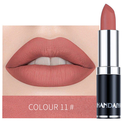 HANDAIYAN 12 Colors Velvet Matte Lipstick Waterproof Pigment Lipstick Long Lasting Lipstick Never Fade Lip Stick Makeup TSLM2